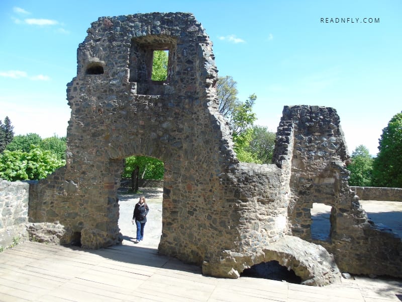 Ruinas del Burg Frankenstein