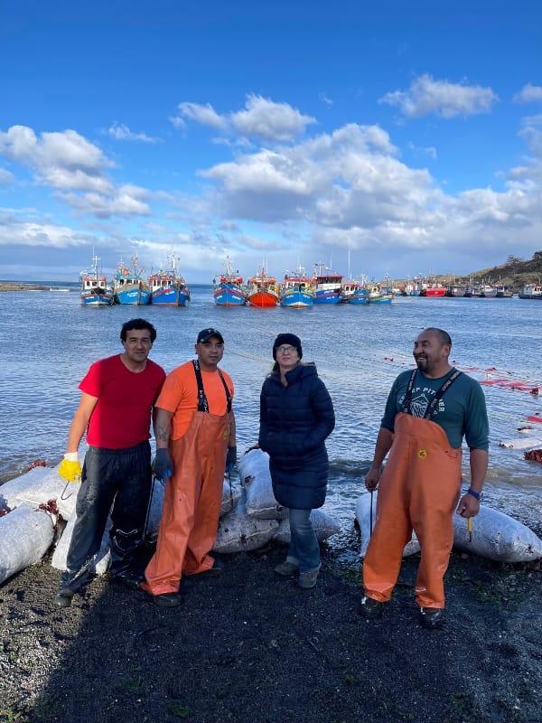 Punta Arenas qué hacer