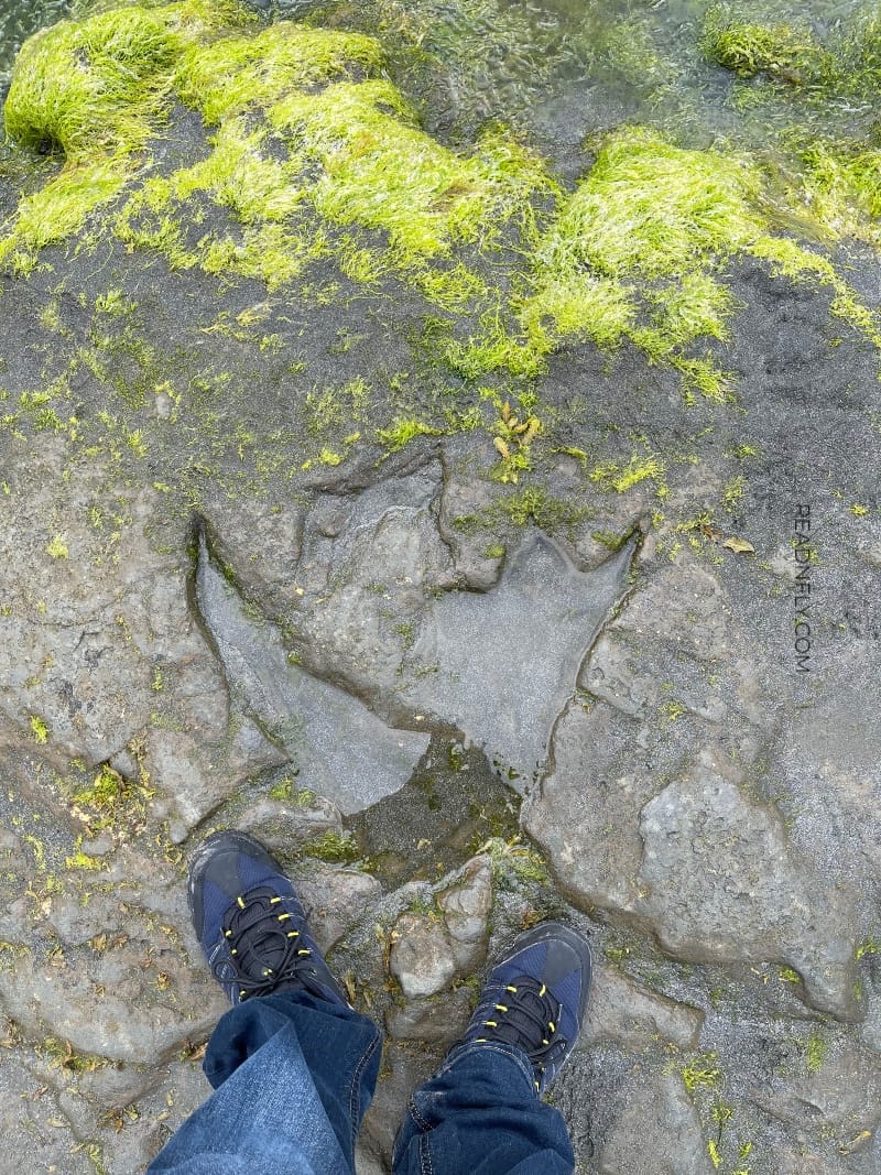 Megalosaurus en Skye