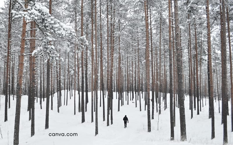 Paisajes Finlandia en invierno